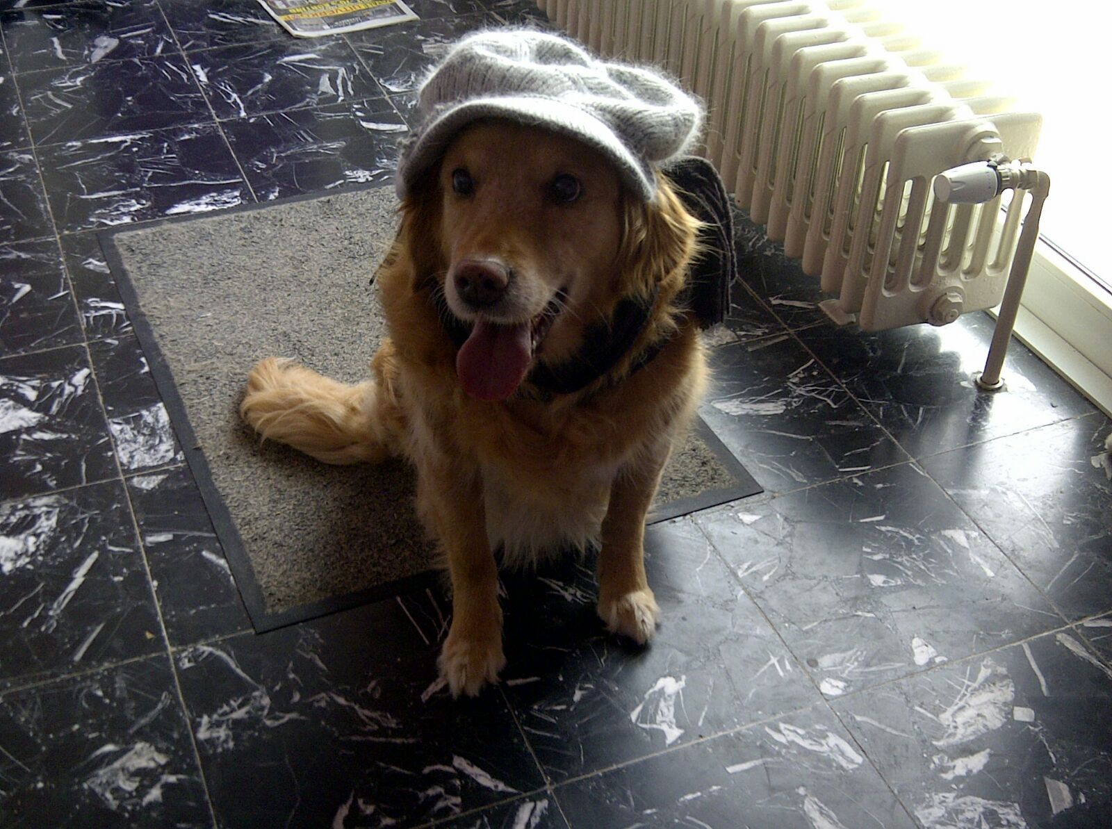 Tessa - 2009